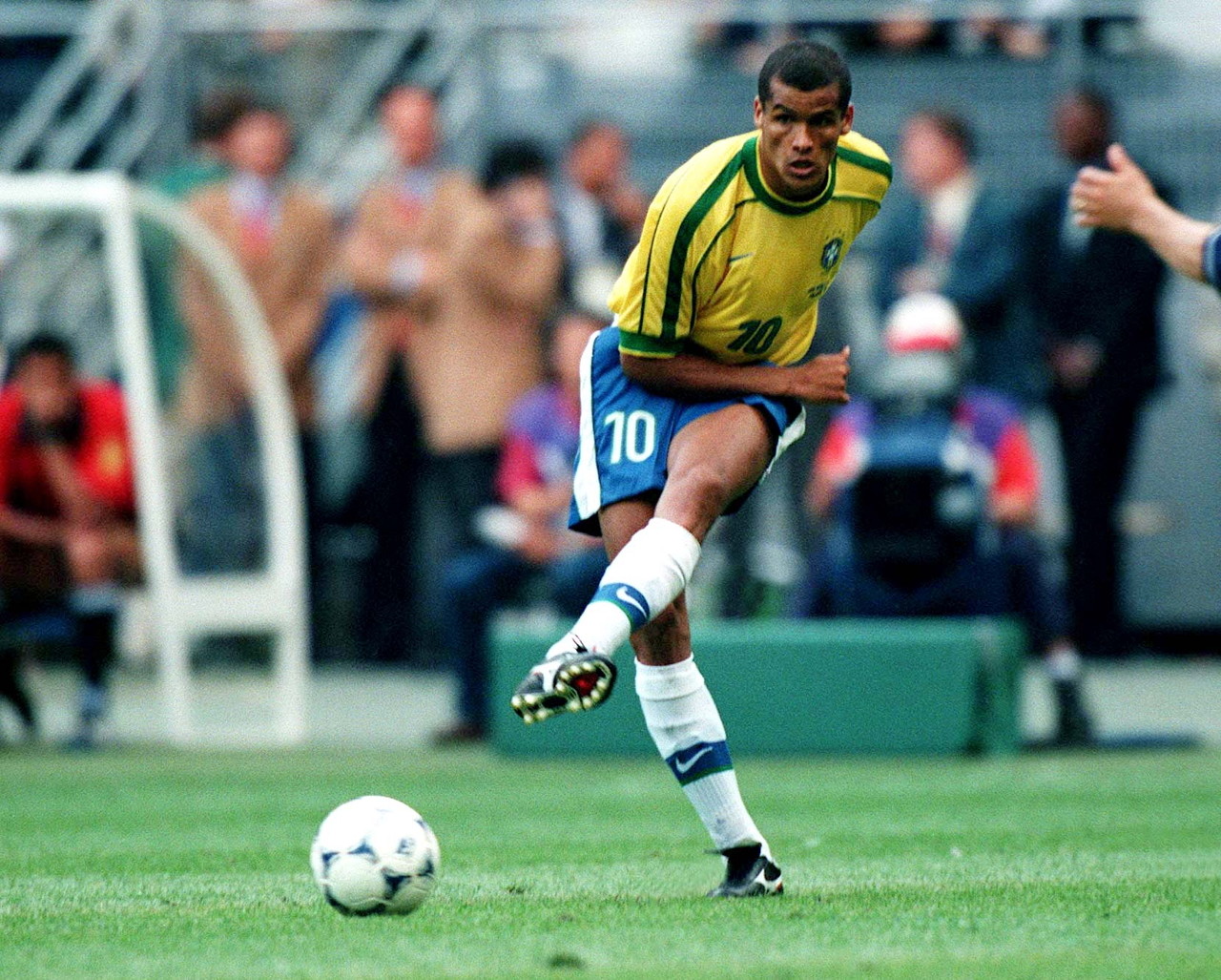 们经过精心 们经过精心