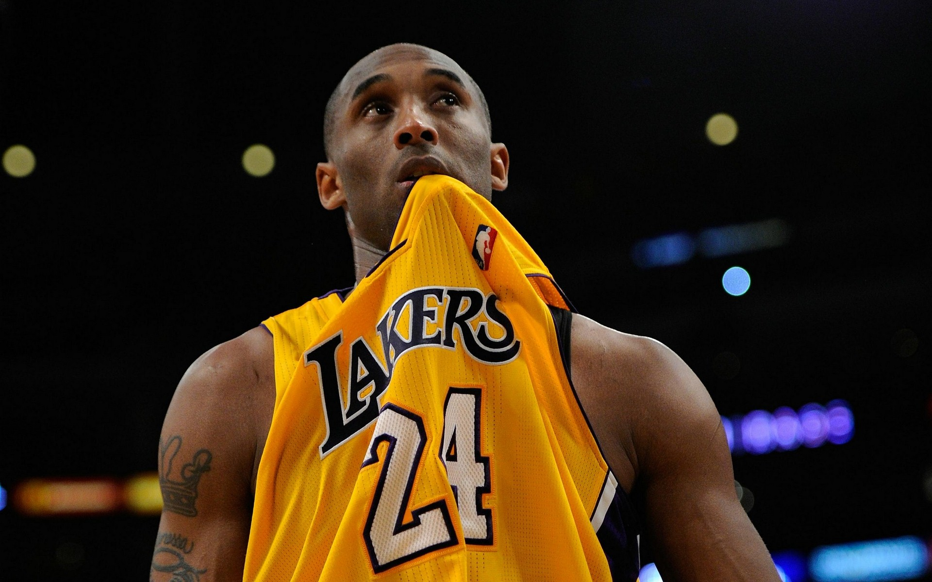 说明临场指 说明临场指